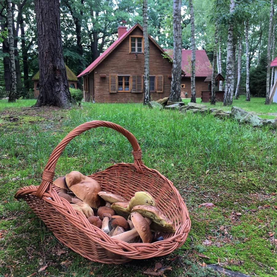 Zakatek Kliczkow Feriehus *